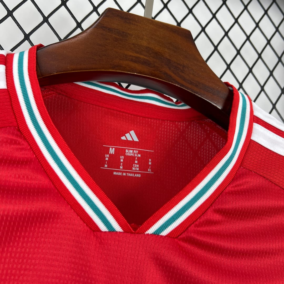 2026 Wales World Cup Home Football jersey Fan edition thumbnail 3