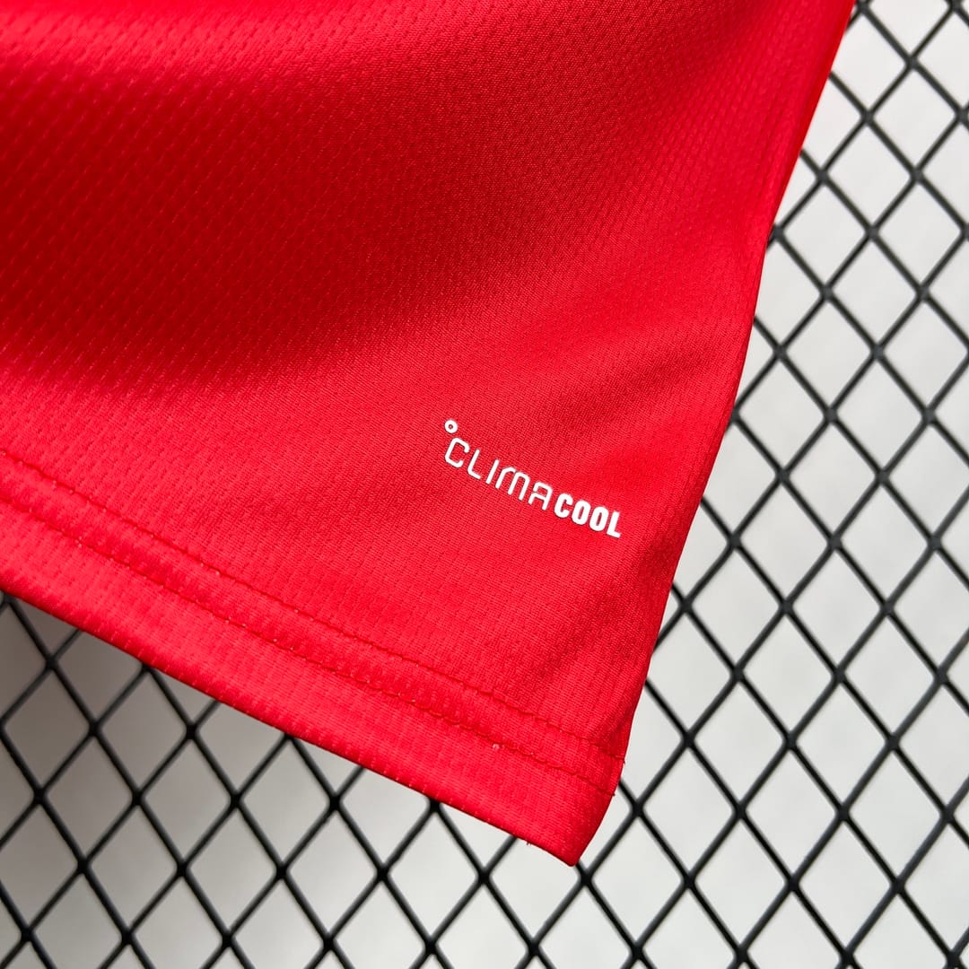 2026 Wales World Cup Home Football jersey Fan edition thumbnail 6