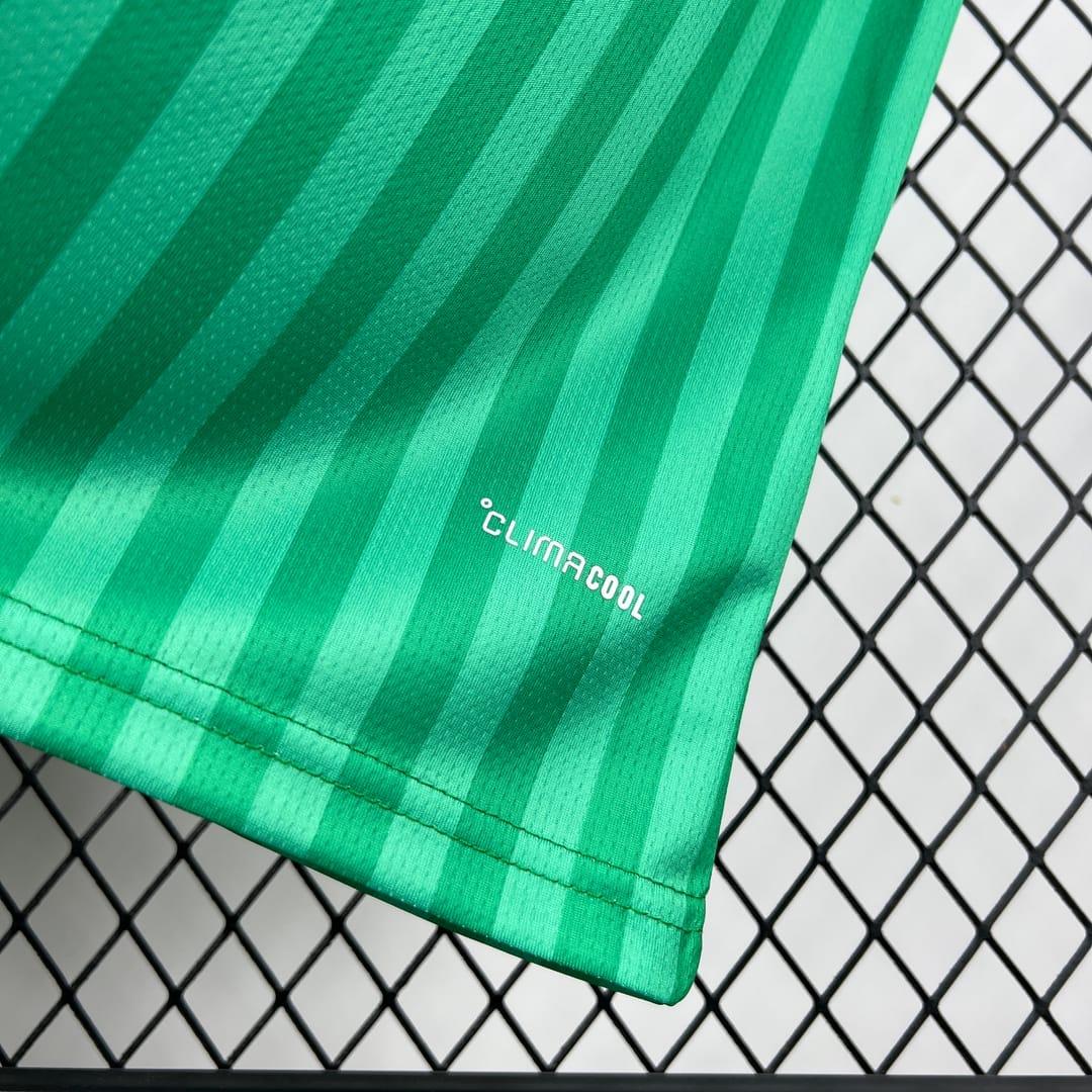 Algeria 2026 World Cup Away Football jersey Fan Edition